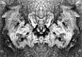 bois sur pierre.photomontage